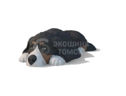 Щенок